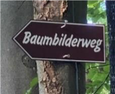 Wegweiser Baumbilderweg